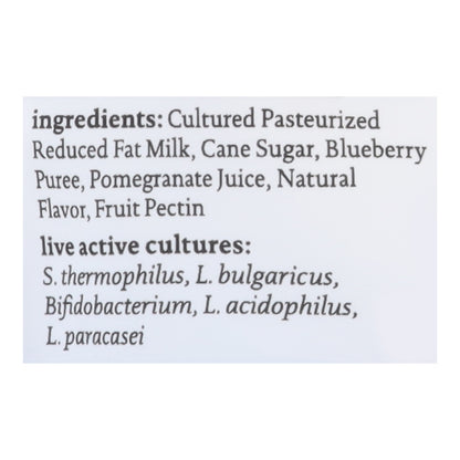 Siggi's Blueberry Pomegranate Protein Pack 4.5 oz