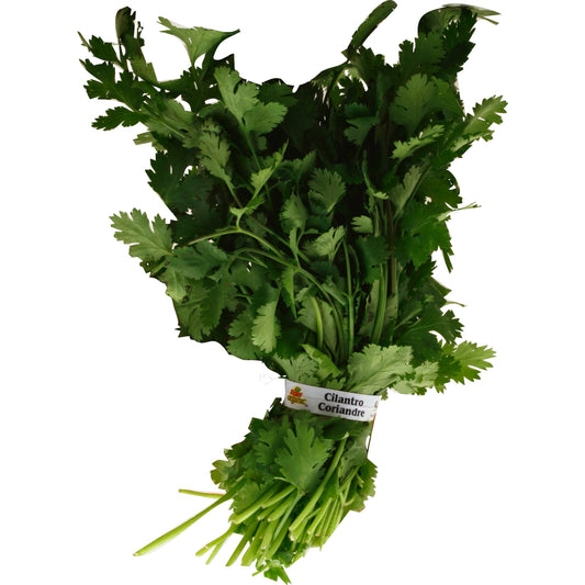 Organic Cilantro