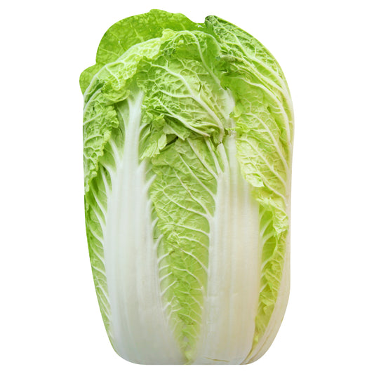 Napa Cabbage