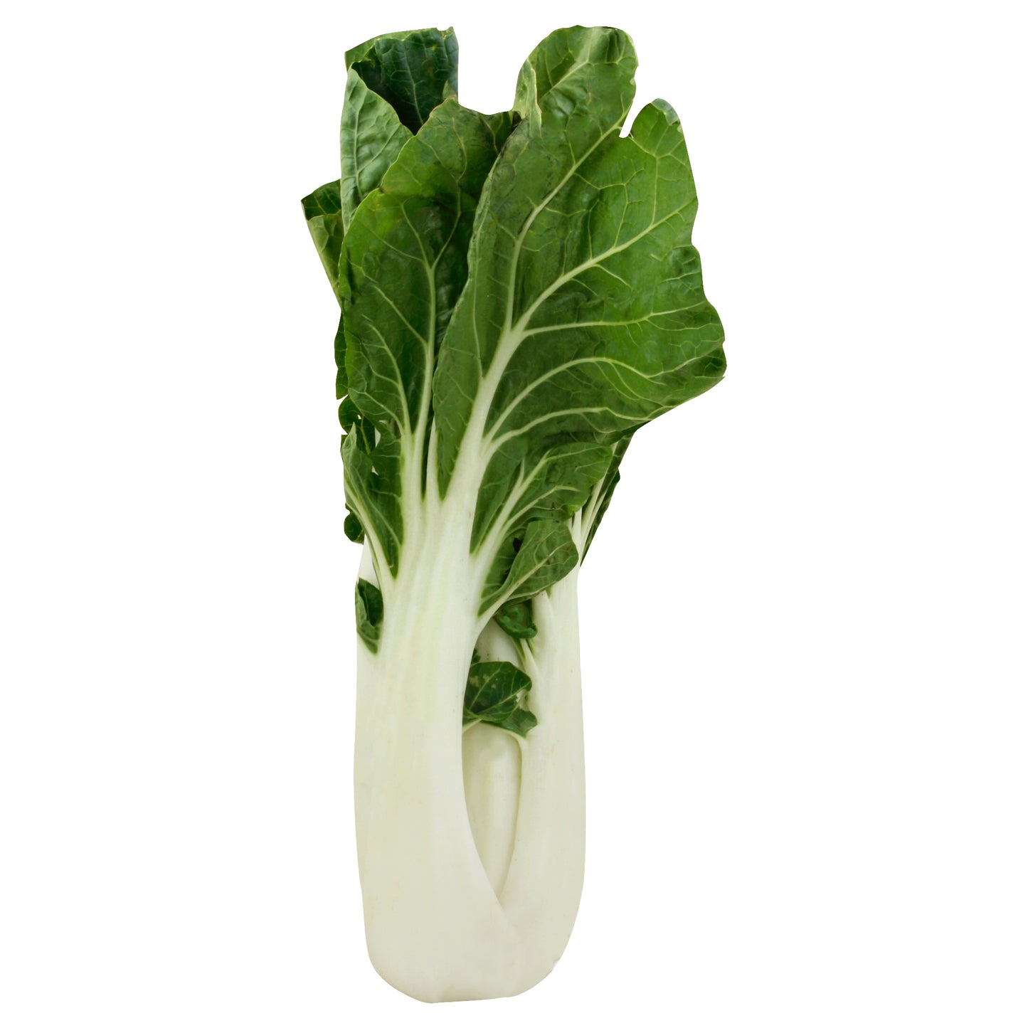 Baby Bok Choy