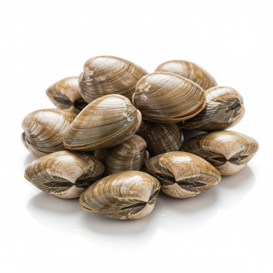 Manila Clams