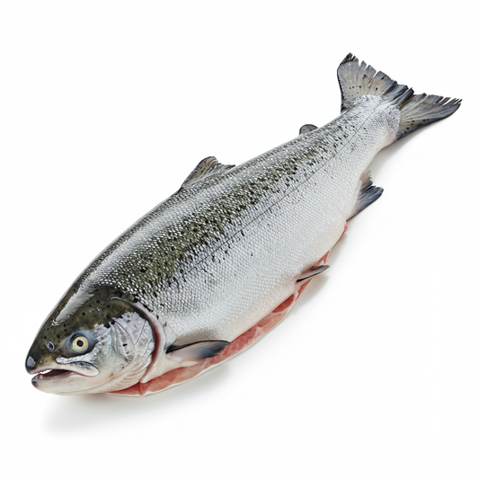 Wild Salmon