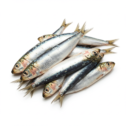 Sardines