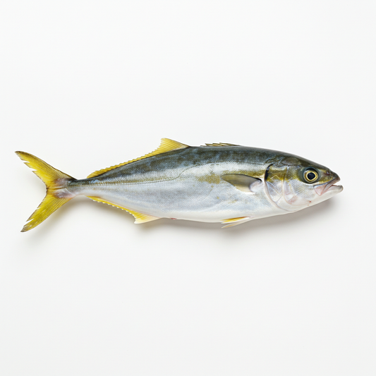 Yellow Tail